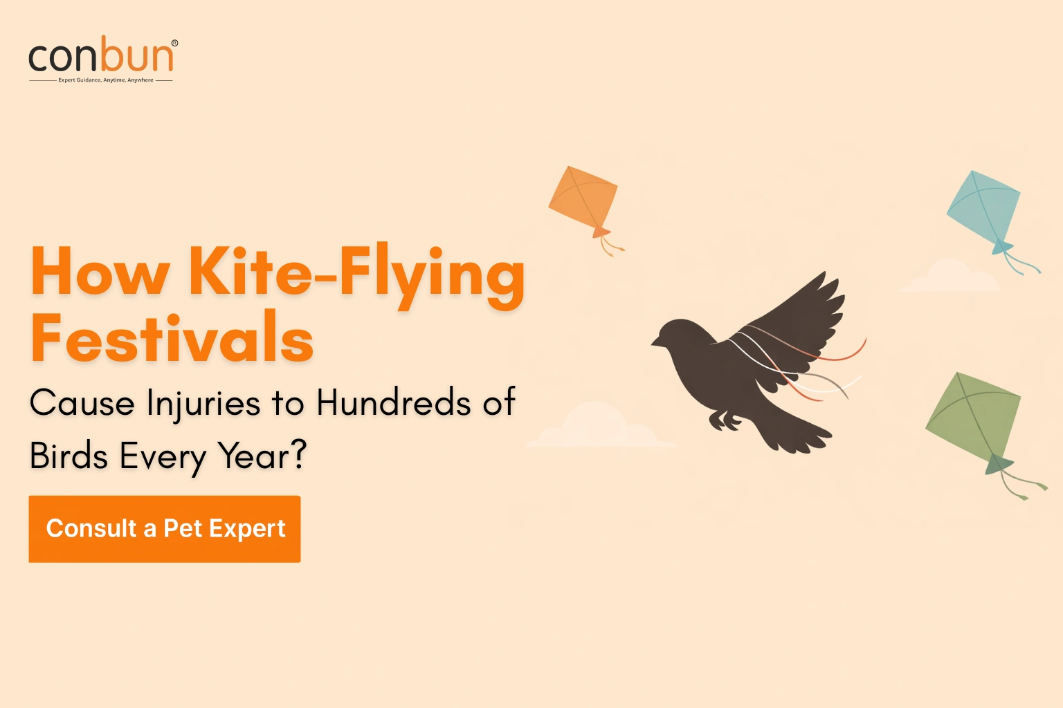 How Kite-Flying Festivals Cause Injuries to Hundreds of Birds Every Year